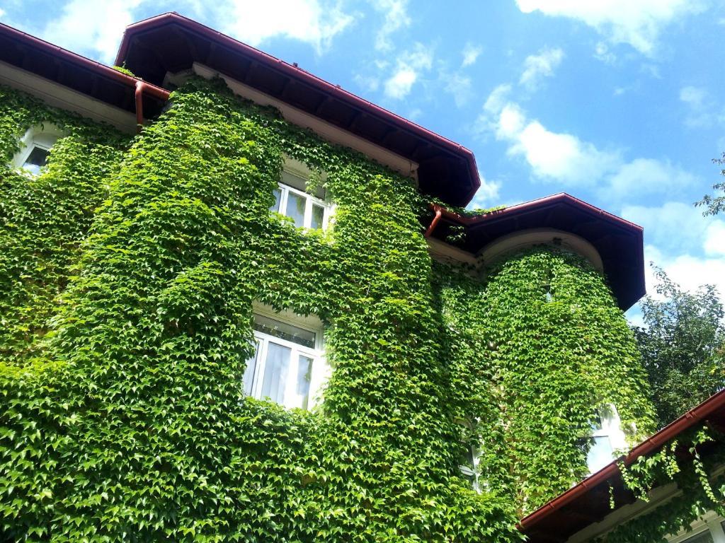 Casa De Odihna Sinaia Hotel Exterior photo